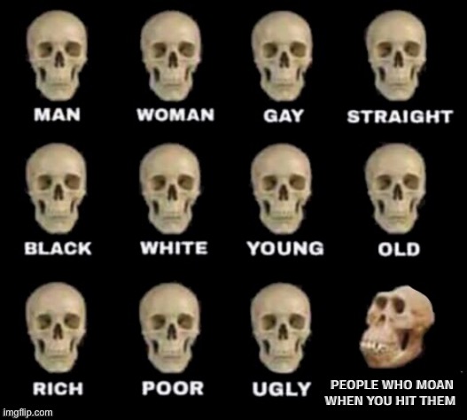 idiot skull | PEOPLE WHO MOAN WHEN YOU HIT THEM | image tagged in idiot skull | made w/ Imgflip meme maker