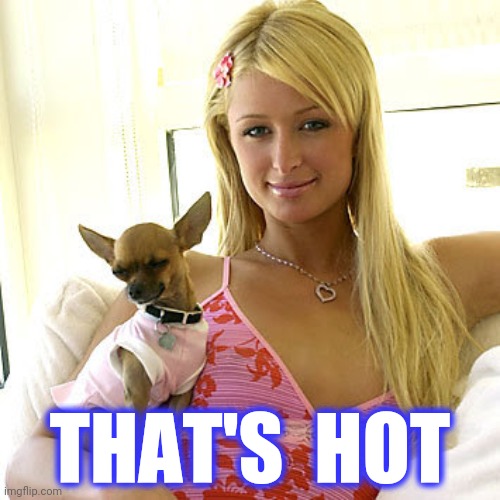 Paris Hilton | THAT'S  HOT | image tagged in paris hilton | made w/ Imgflip meme maker