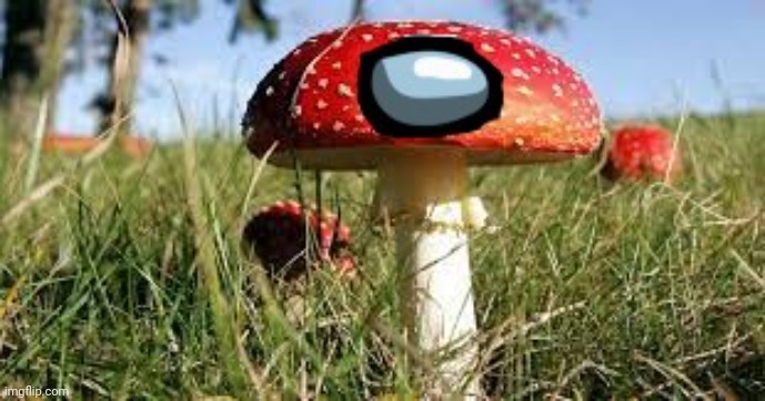 fungus among us | image tagged in fungus among us | made w/ Imgflip meme maker