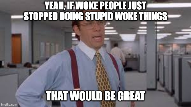 Woke people | YEAH, IF WOKE PEOPLE JUST STOPPED DOING STUPID WOKE THINGS; THAT WOULD BE GREAT | image tagged in yeah if you could stop working me 73 hours a week | made w/ Imgflip meme maker