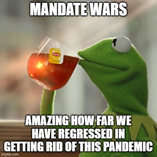 But That's None Of My Business Meme | MANDATE WARS AMAZING HOW FAR WE HAVE REGRESSED IN GETTING RID OF THIS PANDEMIC | image tagged in memes,but that's none of my business,kermit the frog | made w/ Imgflip meme maker