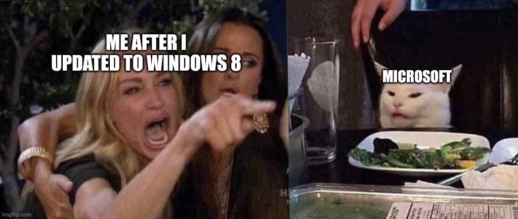 woman yelling at cat | ME AFTER I UPDATED TO WINDOWS 8; MICROSOFT | image tagged in woman yelling at cat,cats,windows,oh no,funny,funny memes | made w/ Imgflip meme maker