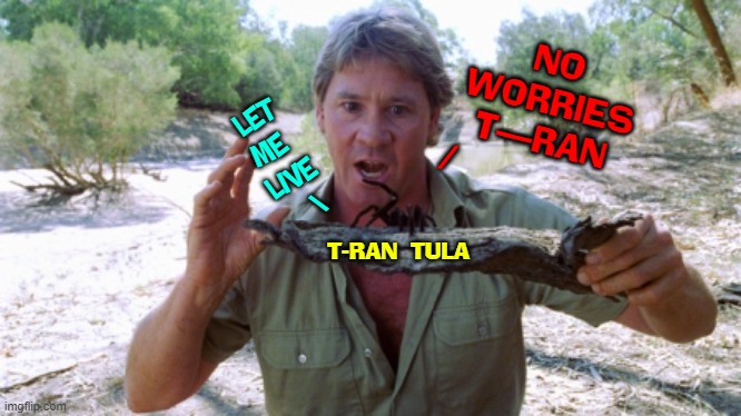 Steve Irwin had a respect for life in the realm of a Jane Goodall | NO
WORRIES
T—RAN
/ LET
ME 
LIVE
  \ T-RAN  TULA | image tagged in vince vance,tarantula,black,spider,steve irwin,memes | made w/ Imgflip meme maker