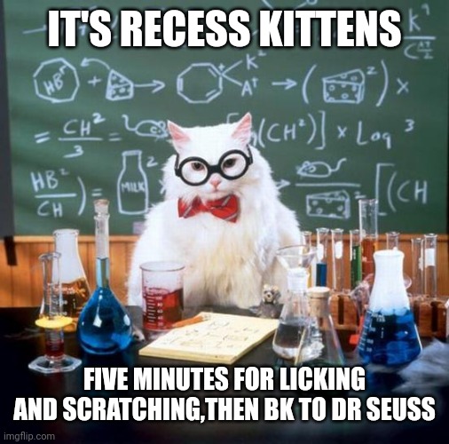 Chemistry Cat |  IT'S RECESS KITTENS; FIVE MINUTES FOR LICKING AND SCRATCHING,THEN BK TO DR SEUSS | image tagged in memes,chemistry cat | made w/ Imgflip meme maker