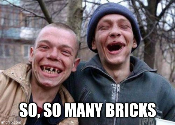 Ugly Twins Meme | SO, SO MANY BRICKS | image tagged in memes,ugly twins | made w/ Imgflip meme maker