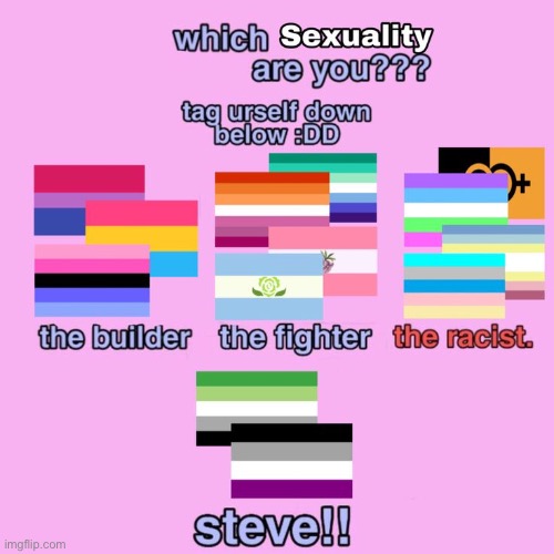 Which are you? | image tagged in pride | made w/ Imgflip meme maker