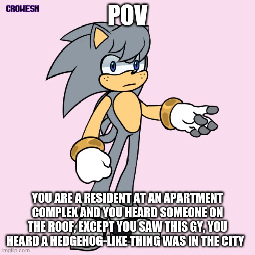 Romance? No killing him or hurting him or reporting him to the military. Humanoids recommended no joke OCs and no military OCS | POV; YOU ARE A RESIDENT AT AN APARTMENT COMPLEX AND YOU HEARD SOMEONE ON THE ROOF, EXCEPT YOU SAW THIS GUY, YOU HEARD A HEDGEHOG-LIKE THING WAS IN THE CITY | image tagged in roleplay,sonic x related,romance | made w/ Imgflip meme maker