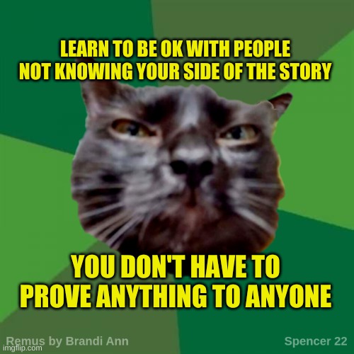 Remus | LEARN TO BE OK WITH PEOPLE NOT KNOWING YOUR SIDE OF THE STORY; YOU DON'T HAVE TO PROVE ANYTHING TO ANYONE | image tagged in remus,cat,disapproval,true story,what if i told you | made w/ Imgflip meme maker