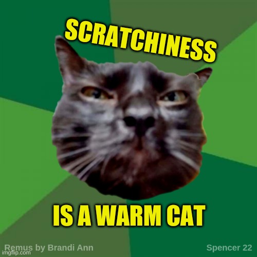 Remus | SCRATCHINESS; IS A WARM CAT | image tagged in remus,happiness,tis but a scratch,hello kitty,cats,true love | made w/ Imgflip meme maker