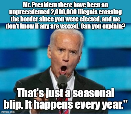 Yes Biden said it | Mr. President there have been an unprecedented 2,000,000 illegals crossing the border since you were elected, and we don't know if any are vaxxed. Can you explain? That's just a seasonal blip. It happens every year." | image tagged in biden menacing with finger,illegal immigration,seasonal migration | made w/ Imgflip meme maker