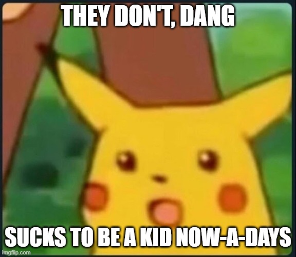 Pickachu oh | THEY DON'T, DANG SUCKS TO BE A KID NOW-A-DAYS | image tagged in pickachu oh | made w/ Imgflip meme maker