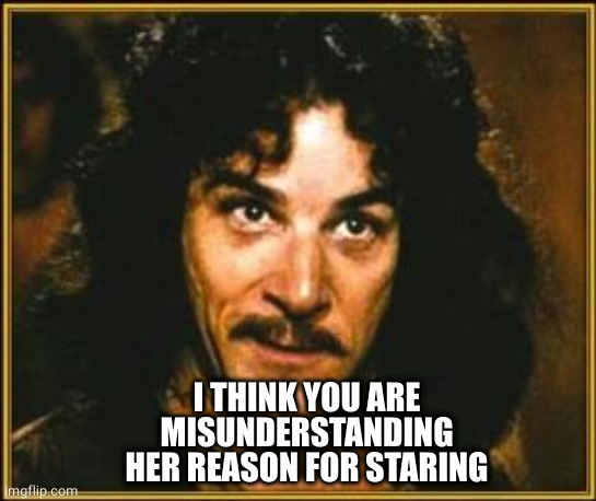 princess bride | I THINK YOU ARE MISUNDERSTANDING HER REASON FOR STARING | image tagged in princess bride | made w/ Imgflip meme maker