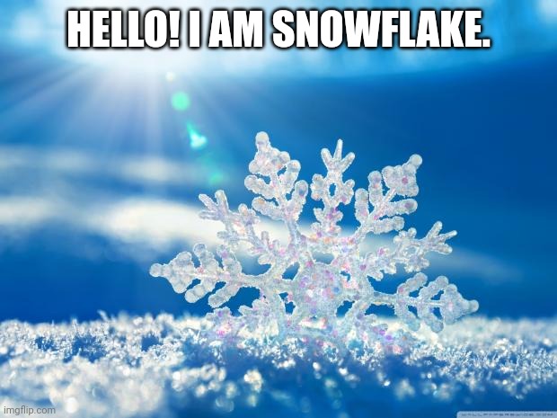 snowflake | HELLO! I AM SNOWFLAKE. | image tagged in snowflake | made w/ Imgflip meme maker