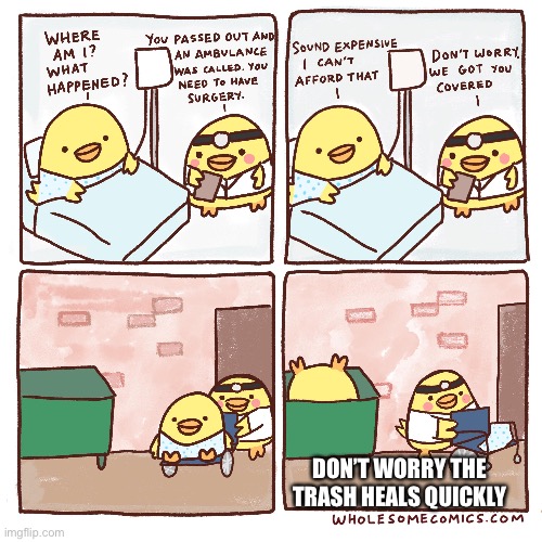 Heals quickly | DON’T WORRY THE TRASH HEALS QUICKLY | image tagged in duck,cancer,death,trash | made w/ Imgflip meme maker