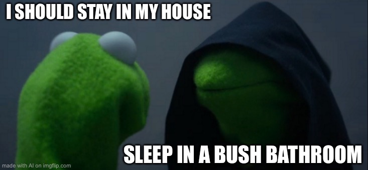 Evil Kermit | I SHOULD STAY IN MY HOUSE; SLEEP IN A BUSH BATHROOM | image tagged in memes,evil kermit | made w/ Imgflip meme maker