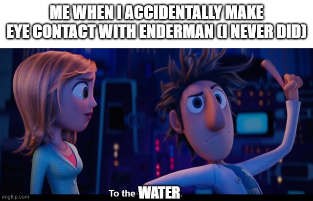 To the computer | ME WHEN I ACCIDENTALLY MAKE EYE CONTACT WITH ENDERMAN (I NEVER DID) WATER | image tagged in to the computer | made w/ Imgflip meme maker