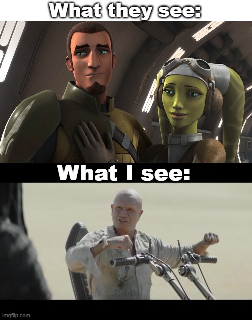 Kanan Jarrus and Hera Syndulla like a Bantha | What they see:; What I see: | image tagged in like a bantha,boba fett,star wars,star wars rebels,kanan,hera | made w/ Imgflip meme maker