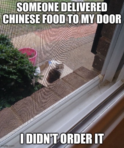 SOMEONE DELIVERED CHINESE FOOD TO MY DOOR; I DIDN'T ORDER IT | image tagged in if you're reading this,it's actually chia- | made w/ Imgflip meme maker