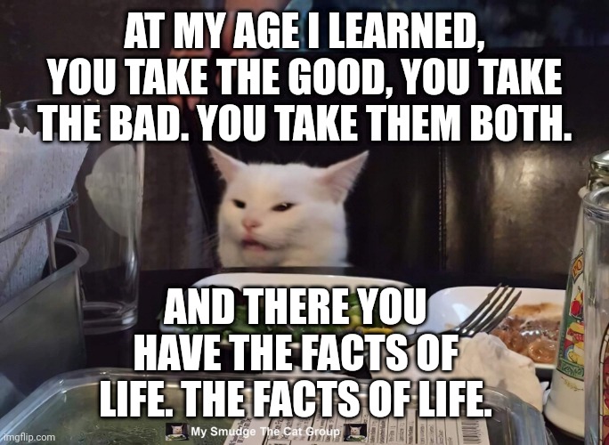 AT MY AGE I LEARNED, YOU TAKE THE GOOD, YOU TAKE THE BAD. YOU TAKE THEM BOTH. AND THERE YOU HAVE THE FACTS OF LIFE. THE FACTS OF LIFE. | image tagged in smudge the cat | made w/ Imgflip meme maker