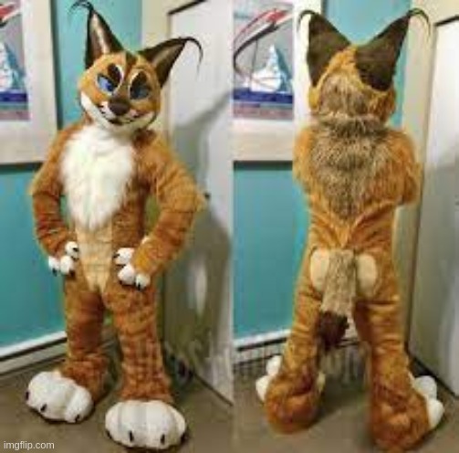 *furries your floppa* | made w/ Imgflip meme maker