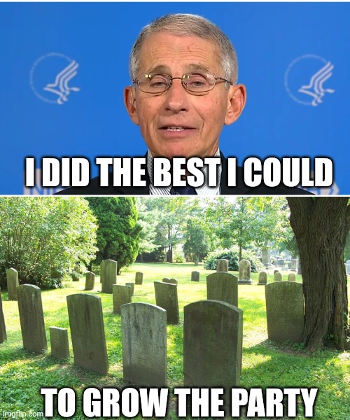 I DID THE BEST I COULD TO GROW THE PARTY | image tagged in dr fauci,cemetery | made w/ Imgflip meme maker