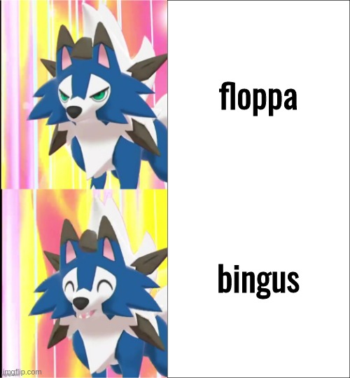 bingus is the better meme cat | floppa; bingus | image tagged in fixed lycandrake | made w/ Imgflip meme maker