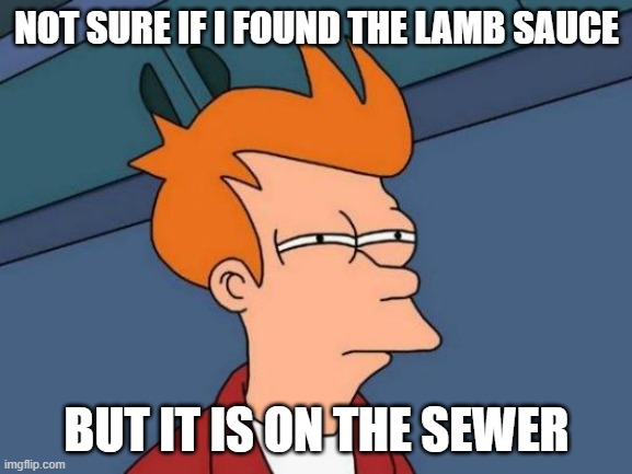 Not sure | NOT SURE IF I FOUND THE LAMB SAUCE; BUT IT IS ON THE SEWER | image tagged in memes,futurama fry | made w/ Imgflip meme maker