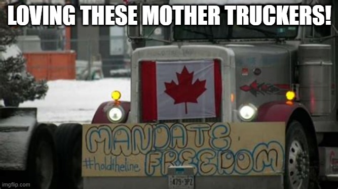 Oh Canada | LOVING THESE MOTHER TRUCKERS! | image tagged in freedom,freedom rally,truckers for freedom | made w/ Imgflip meme maker