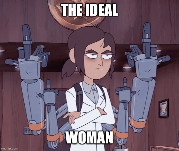 THE IDEAL; WOMAN | made w/ Imgflip meme maker