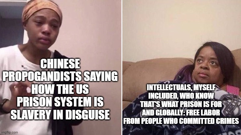 How are these CCP sucker upers so dumb? | CHINESE PROPOGANDISTS SAYING HOW THE US PRISON SYSTEM IS SLAVERY IN DISGUISE; INTELLECTUALS, MYSELF INCLUDED, WHO KNOW THAT'S WHAT PRISON IS FOR AND GLOBALLY: FREE LABOR FROM PEOPLE WHO COMMITTED CRIMES | image tagged in me explaining to my mom | made w/ Imgflip meme maker