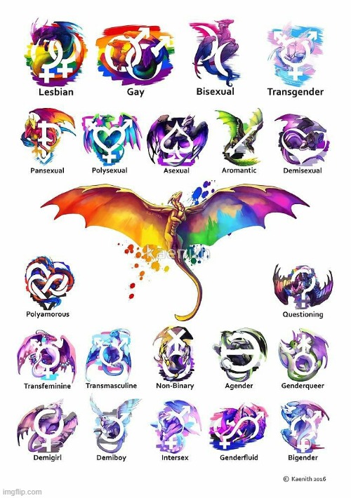 this image proves that no matter what you are, or who you like, you will always be A BADASS FRICKING DRAGON!!!! | image tagged in lgbtqia,dragons | made w/ Imgflip meme maker
