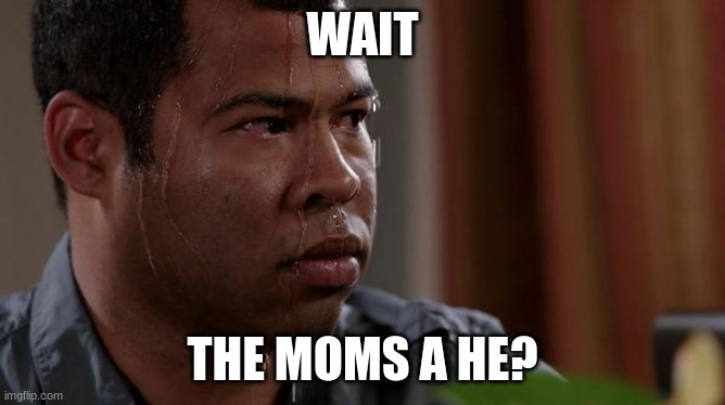 sweating bullets | WAIT THE MOMS A HE? | image tagged in sweating bullets | made w/ Imgflip meme maker