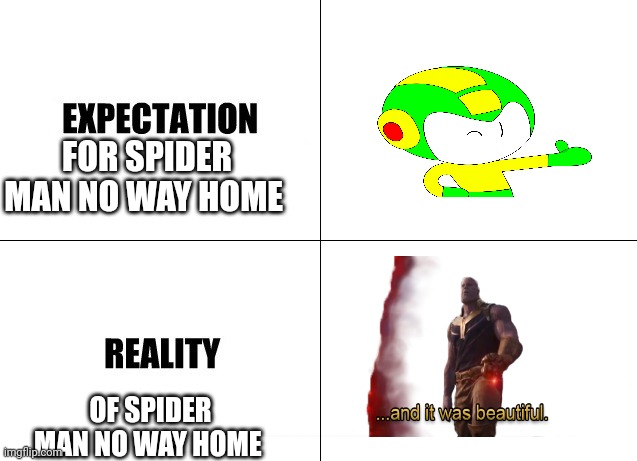 Expectation vs Reality |  FOR SPIDER MAN NO WAY HOME; OF SPIDER MAN NO WAY HOME | image tagged in expectation vs reality,spiderman,spider man no way home,tom holland,tobey maguire,andrew garfield | made w/ Imgflip meme maker