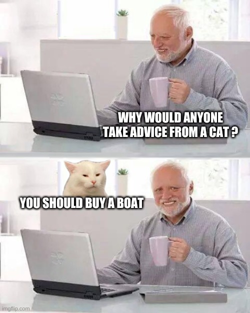Cat Wisdom | WHY WOULD ANYONE TAKE ADVICE FROM A CAT ? YOU SHOULD BUY A BOAT | image tagged in hide the pain harold,smudge the cat,i should buy a boat cat,actual advice mallard,cats | made w/ Imgflip meme maker