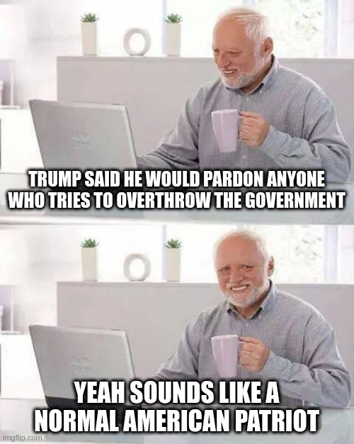 post truth patriotism | TRUMP SAID HE WOULD PARDON ANYONE WHO TRIES TO OVERTHROW THE GOVERNMENT; YEAH SOUNDS LIKE A NORMAL AMERICAN PATRIOT | image tagged in memes,hide the pain harold | made w/ Imgflip meme maker