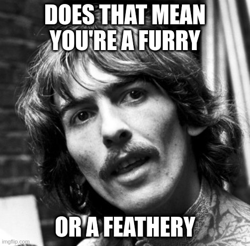 when someone says they are a unicorn chicken dog | DOES THAT MEAN YOU'RE A FURRY; OR A FEATHERY | image tagged in hi george | made w/ Imgflip meme maker