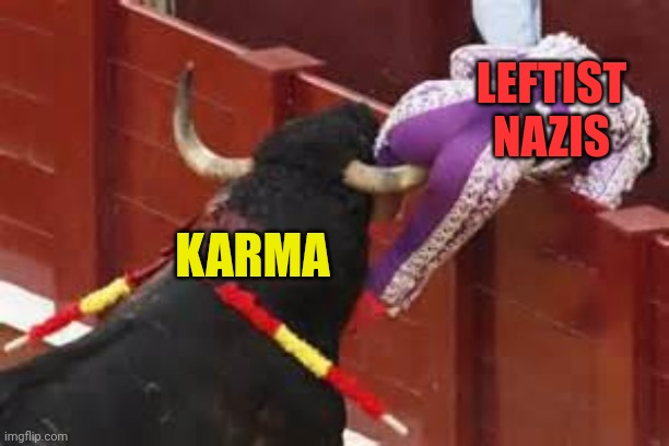Karma | KARMA LEFTIST NAZIS | image tagged in karma | made w/ Imgflip meme maker