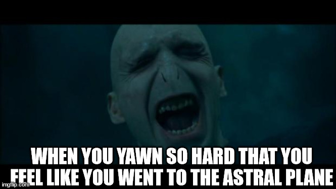Voldemort Noooooo | WHEN YOU YAWN SO HARD THAT YOU FEEL LIKE YOU WENT TO THE ASTRAL PLANE | image tagged in voldemort noooooo | made w/ Imgflip meme maker