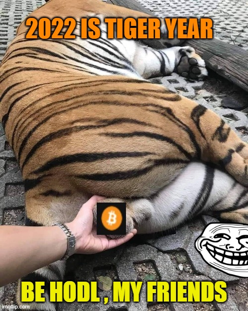 Tiger year 2022 | 2022 IS TIGER YEAR; BE HODL , MY FRIENDS | image tagged in chinese new year,tiger,behold my stuff | made w/ Imgflip meme maker