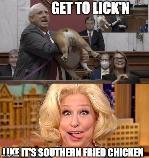 Bette Middler | GET TO LICK'N; LIKE IT'S SOUTHERN FRIED CHICKEN | image tagged in bulldog butt,bette the butt licker | made w/ Imgflip meme maker