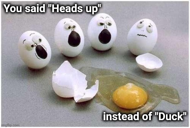This Broken Egg | You said "Heads up" instead of "Duck" | image tagged in this broken egg | made w/ Imgflip meme maker