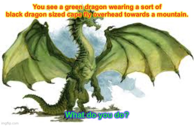 A Dungeons and Dragons roleplay! Fitting, right? | You see a green dragon wearing a sort of black dragon sized cape fly overhead towards a mountain. What do you do? | image tagged in dungeons and dragons,roleplaying,dragon | made w/ Imgflip meme maker