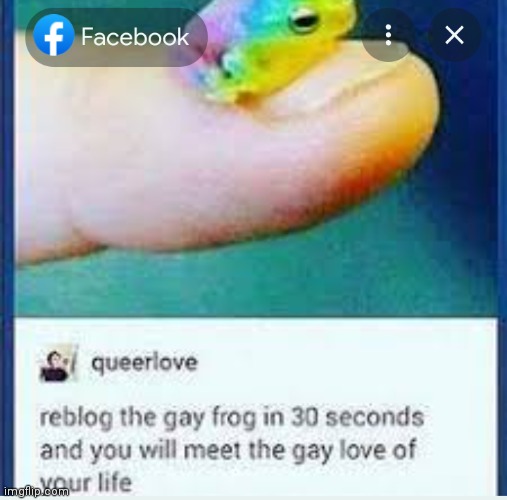 Ha | image tagged in you wish,eh | made w/ Imgflip meme maker