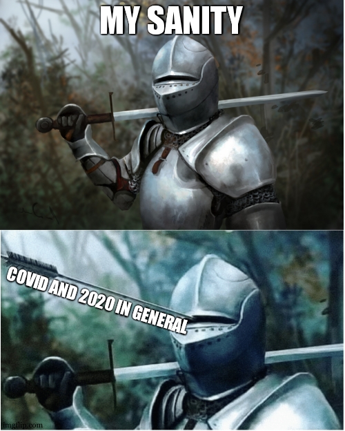 Knight with arrow in helmet |  MY SANITY; COVID AND 2020 IN GENERAL | image tagged in knight with arrow in helmet | made w/ Imgflip meme maker