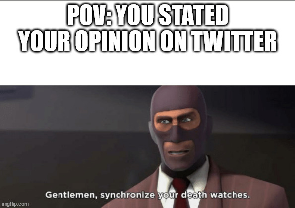 gentlemen, synchronize your death watches | POV: YOU STATED YOUR OPINION ON TWITTER | image tagged in gentlemen synchronize your death watches | made w/ Imgflip meme maker