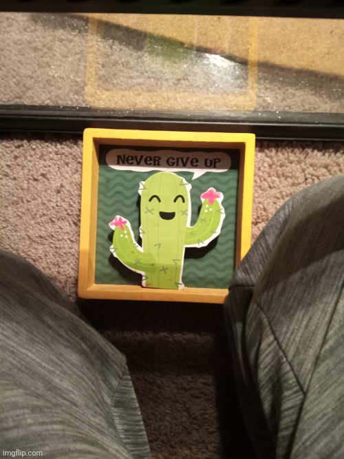 anyone remember the cactus | made w/ Imgflip meme maker