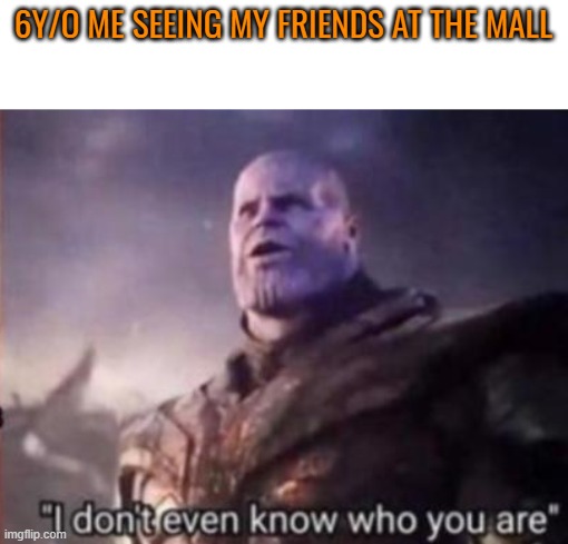 who tf r u? | 6Y/O ME SEEING MY FRIENDS AT THE MALL | image tagged in thanos i don't even know who you are | made w/ Imgflip meme maker