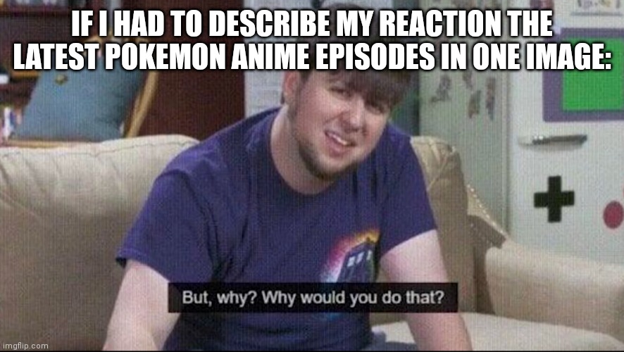 WHY ARE THERE SO MANY PLOT HOLES WHYYYYYYY | IF I HAD TO DESCRIBE MY REACTION THE LATEST POKEMON ANIME EPISODES IN ONE IMAGE: | image tagged in but why why would you do that | made w/ Imgflip meme maker