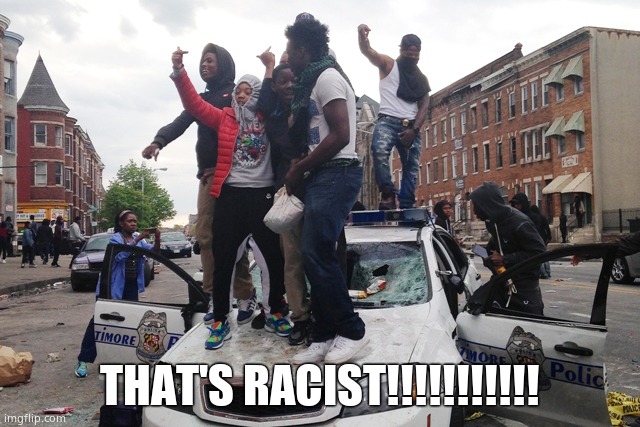 Riot | THAT'S RACIST!!!!!!!!!!! | image tagged in riot | made w/ Imgflip meme maker