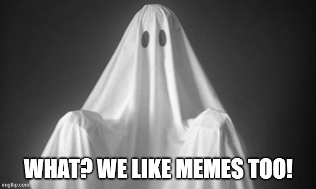 Ghost | WHAT? WE LIKE MEMES TOO! | image tagged in ghost | made w/ Imgflip meme maker